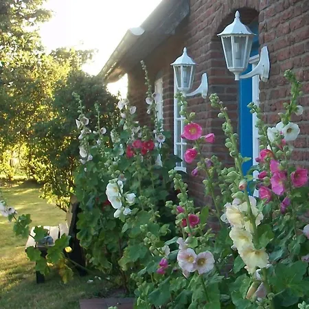 Haus Wolfram App Gondeline Morsumer Kliff Lejlighed Archsum